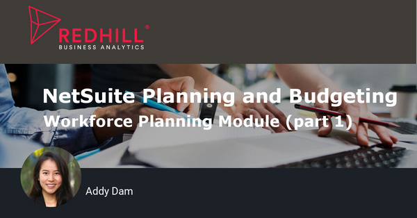 Workforce Planning in NetSuite Planning and Budgeting Cloud (Part 1)